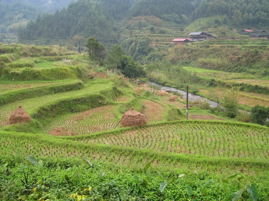 The Suining County, Hunan card