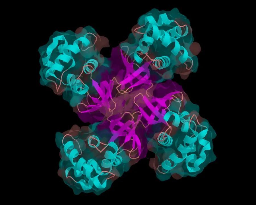The Helicase card