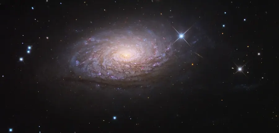 The Messier 63 card