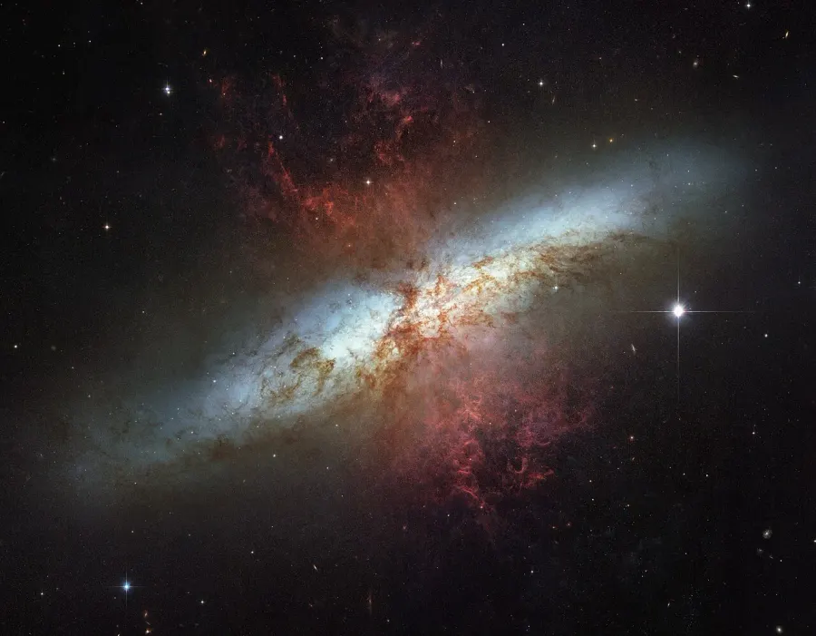 La carte M82