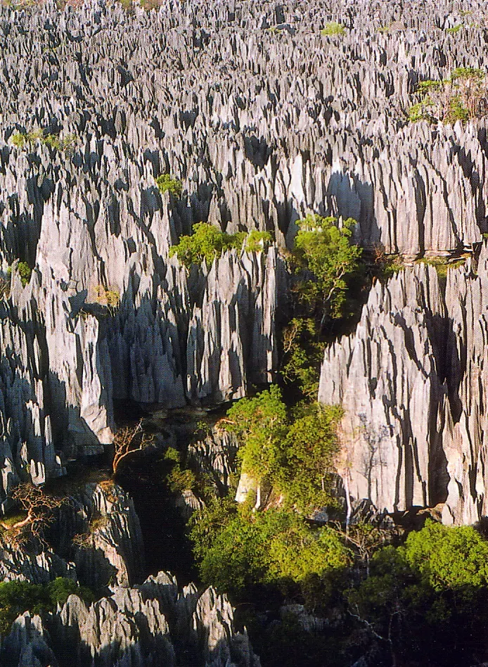 The Tsingy de Bemaraha Strict Nature Reserve card