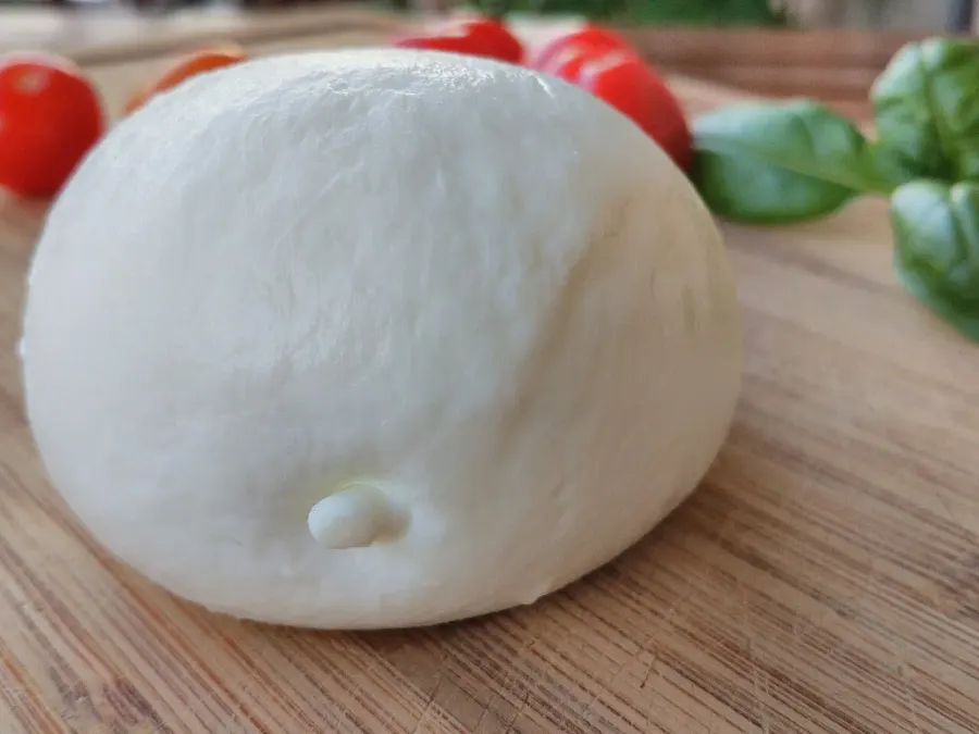 La carte Mozzarella
