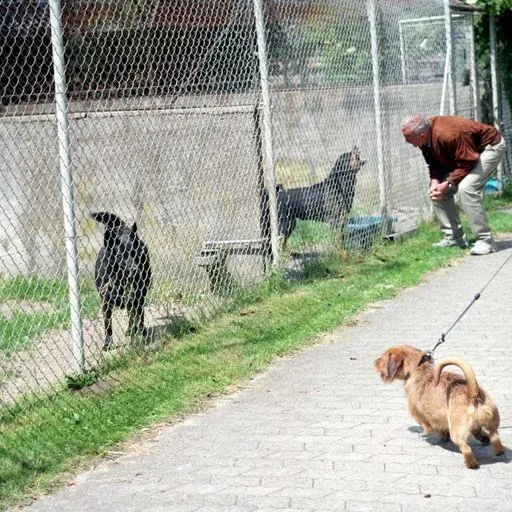La carte Refuge animalier