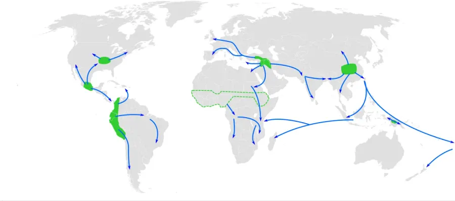 The 10th millennium BC card