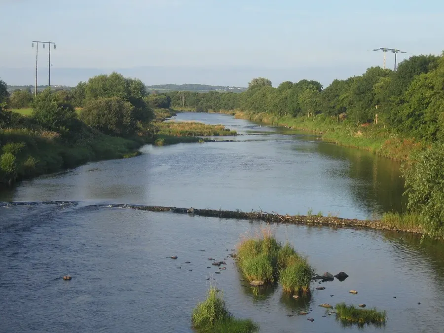 The River Feale card
