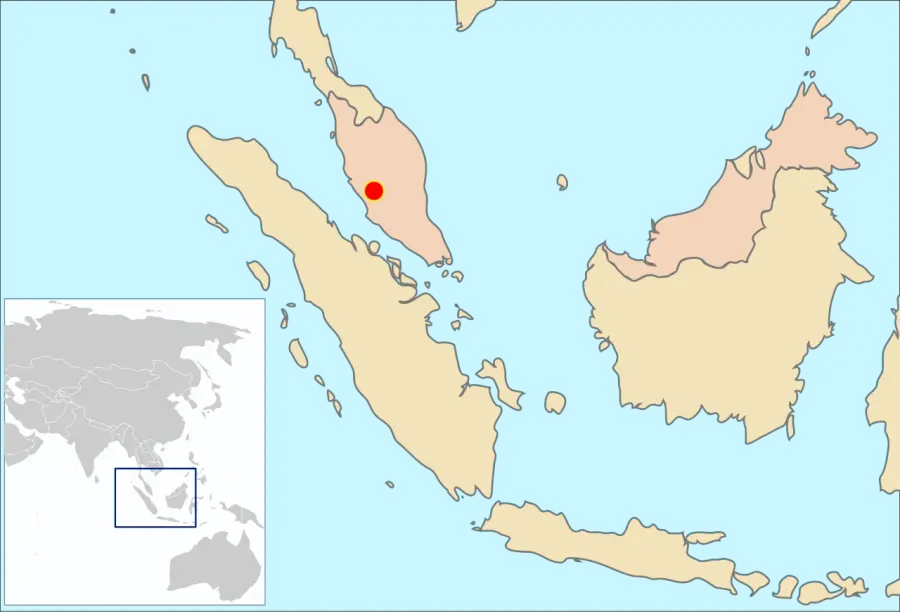 The Malayan water shrew card
