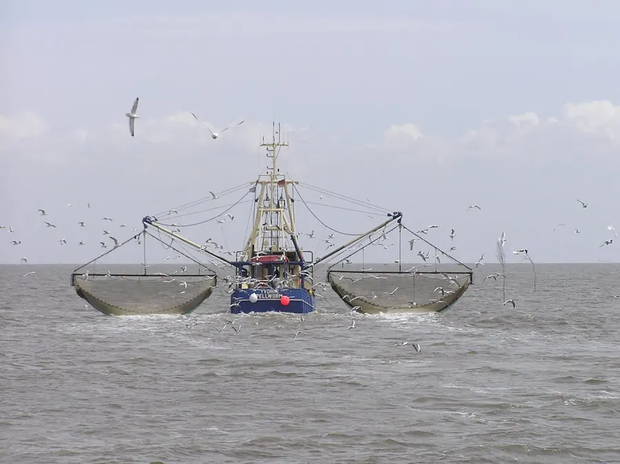 The Fishing vessel card