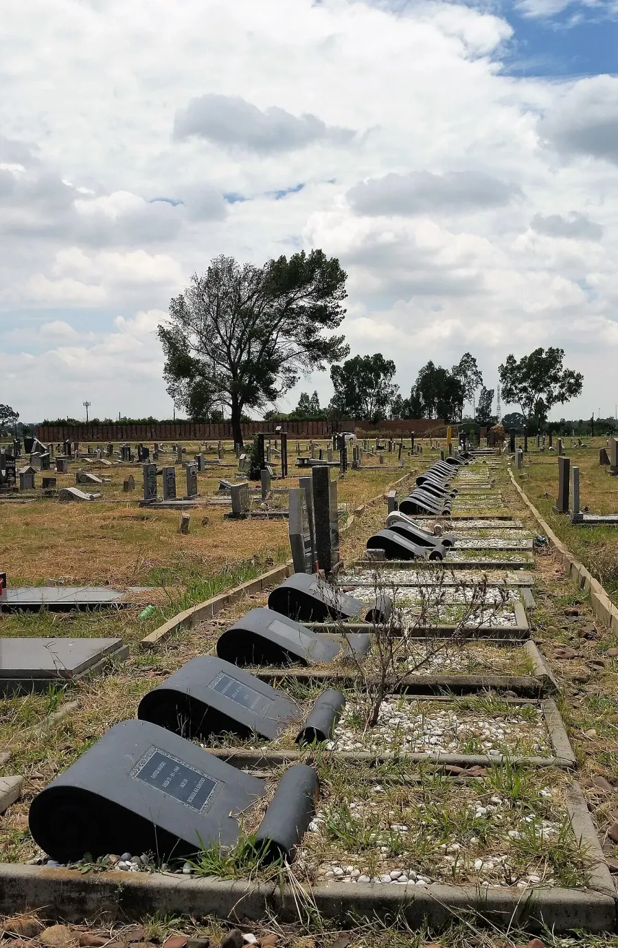 The Sharpeville card