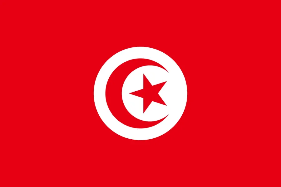 The Tunisia men's national handball team card