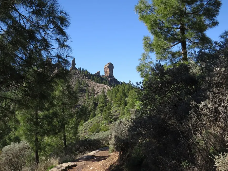 The Roque Nublo card