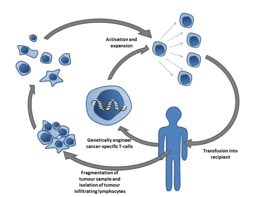 La carte Immunothérapie
