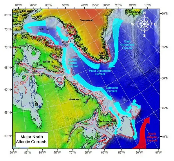 The East Greenland Current card