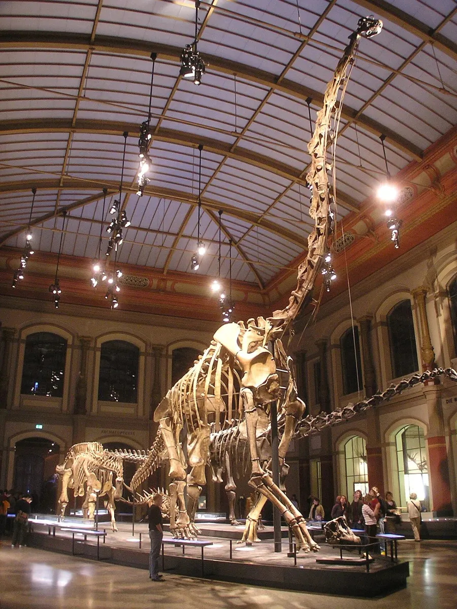 La carte Giraffatitan