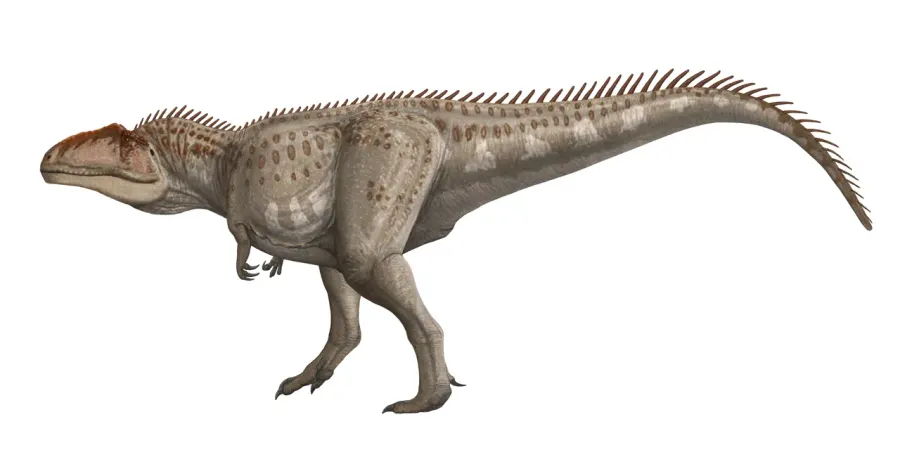The Giganotosaurus card