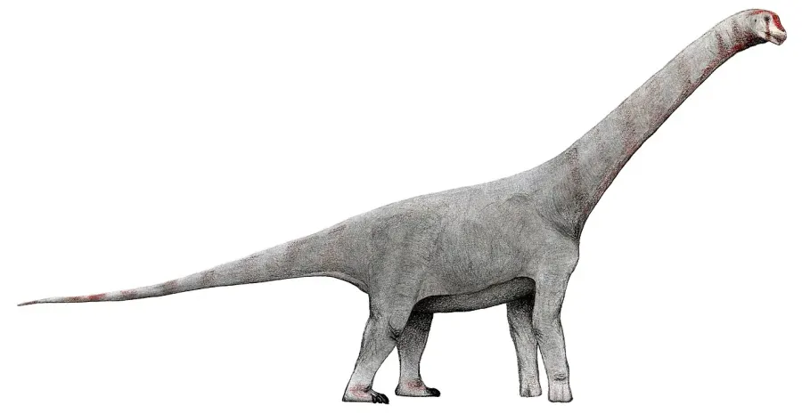 La carte Chubutisaurus
