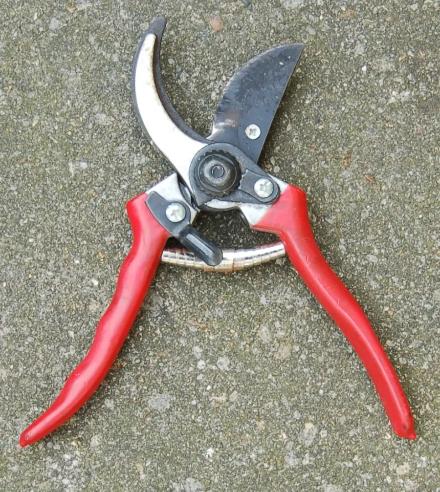 The Pruning shears card
