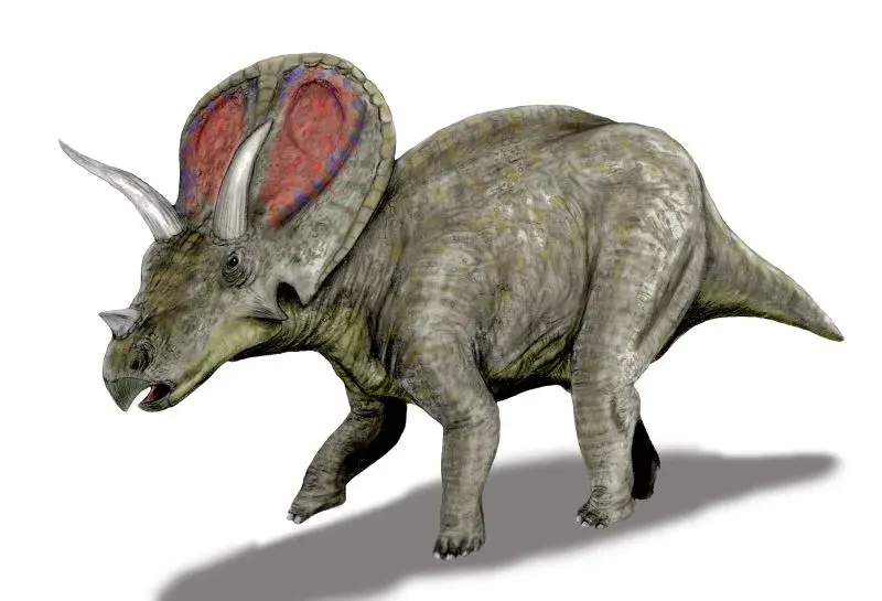 La carte Torosaurus