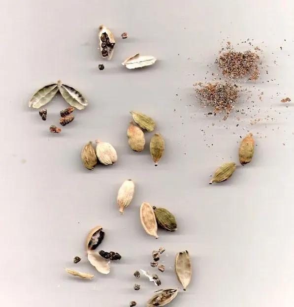 The Cardamom card