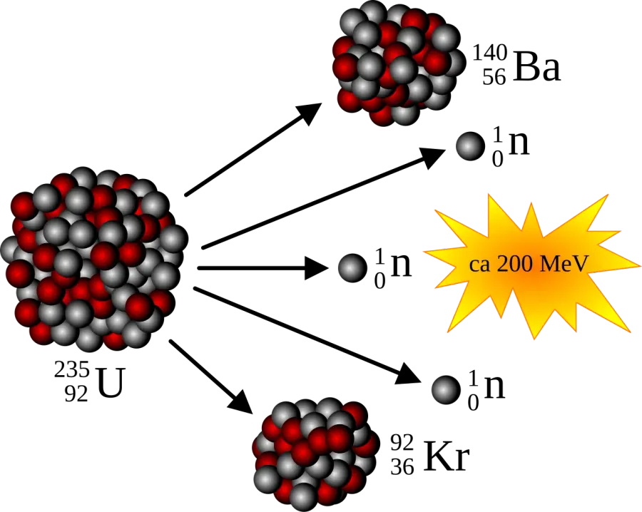 The Spontaneous fission card