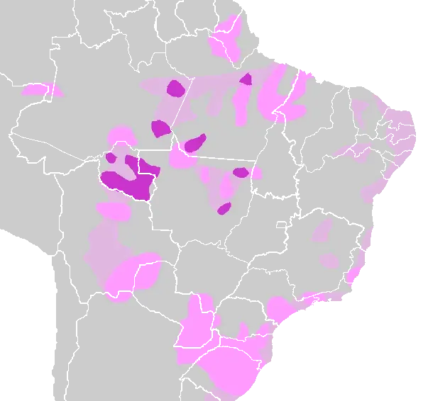The Tupi–Guarani languages card