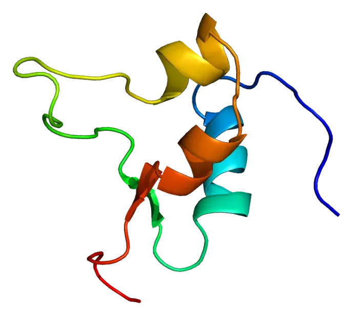 La carte IGF-2