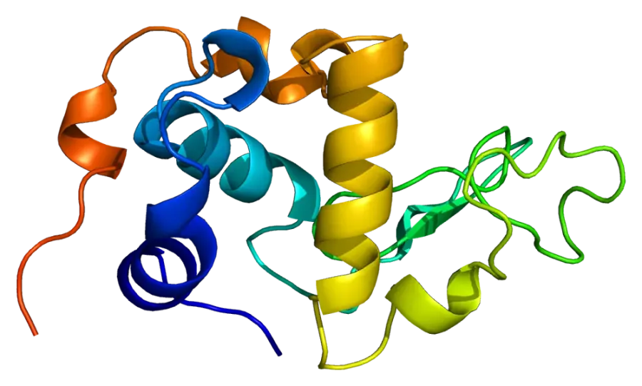 The Α-Lactalbumin card