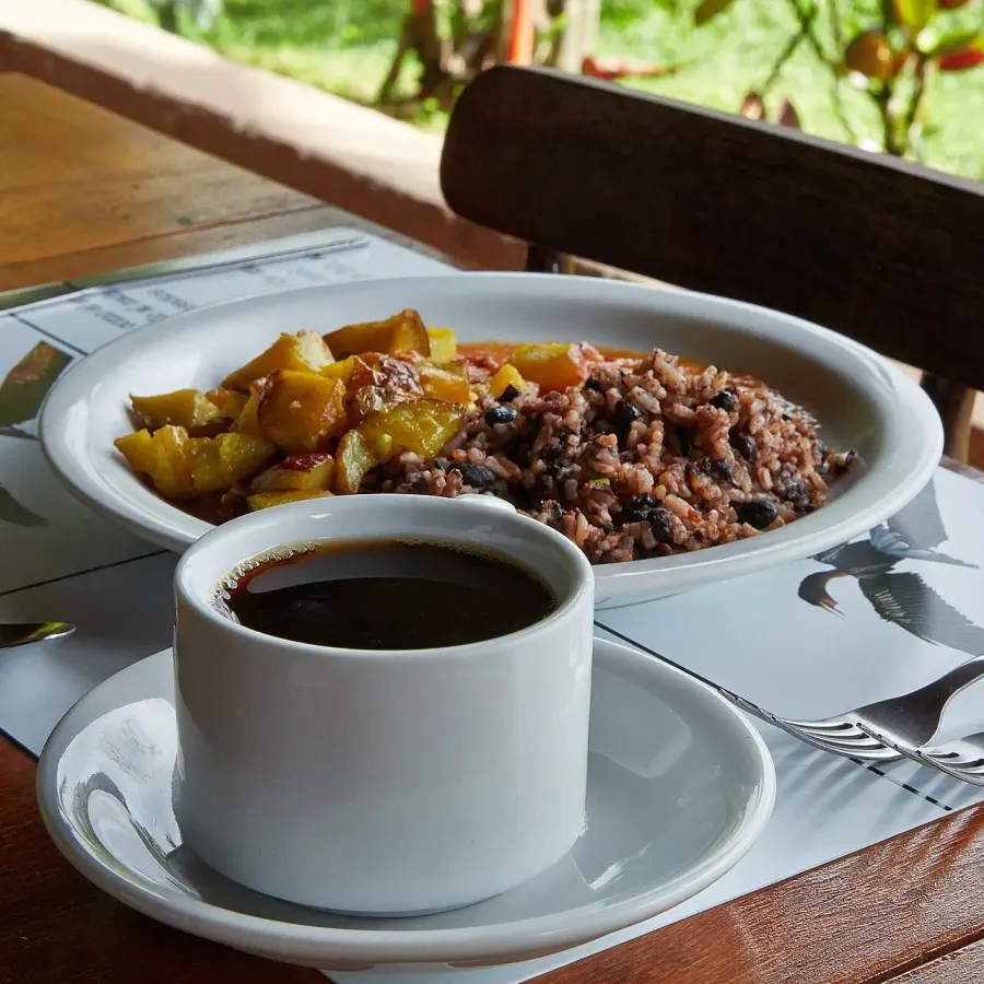 The Gallo pinto card