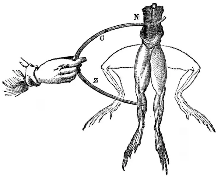 La carte Galvanisme