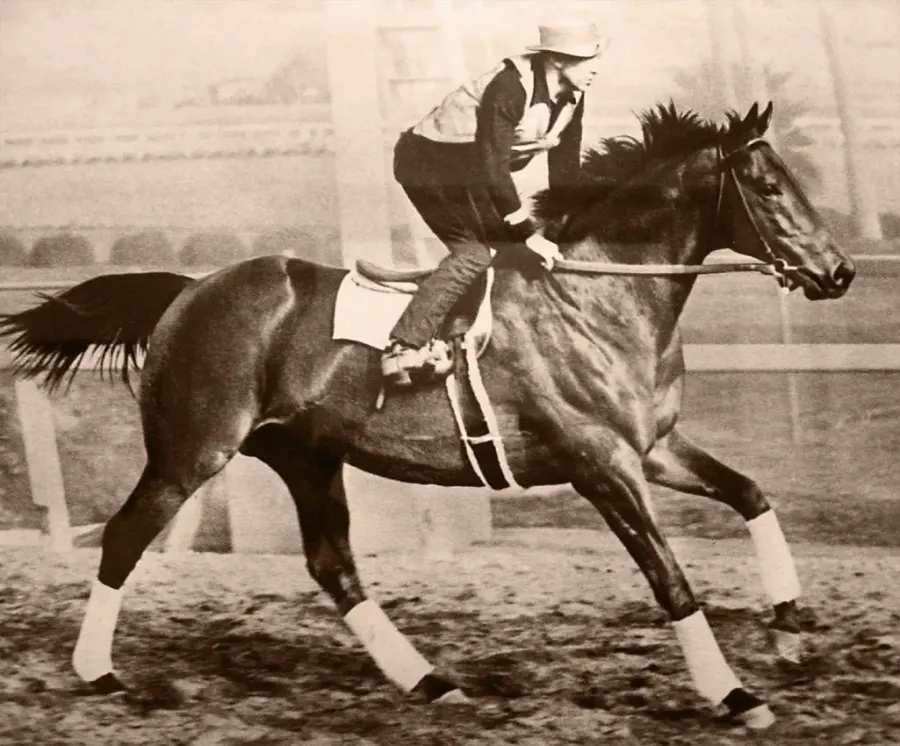 La carte Seabiscuit