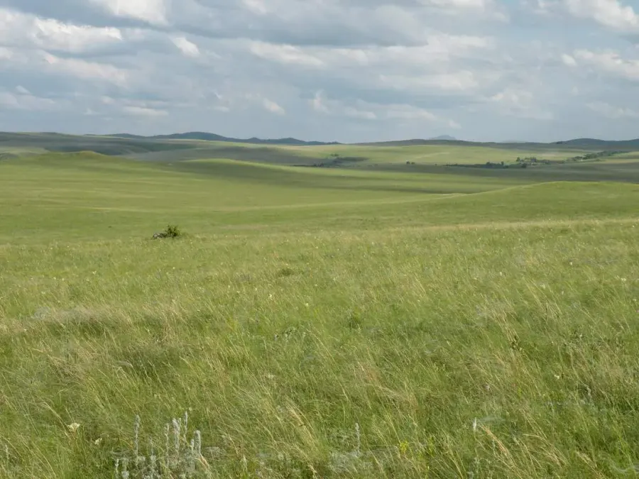 La carte Prairies, savanes et terres arbustives tempérées