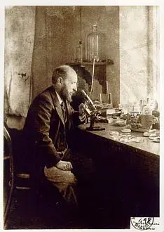 La carte Santiago Ramón y Cajal