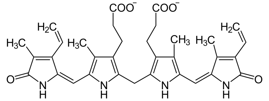 La carte Syndrome de Rotor