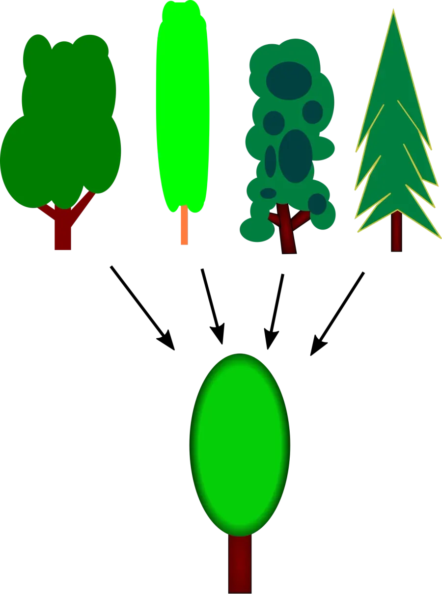 La carte Concept