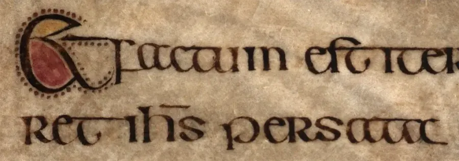 The Insular script card