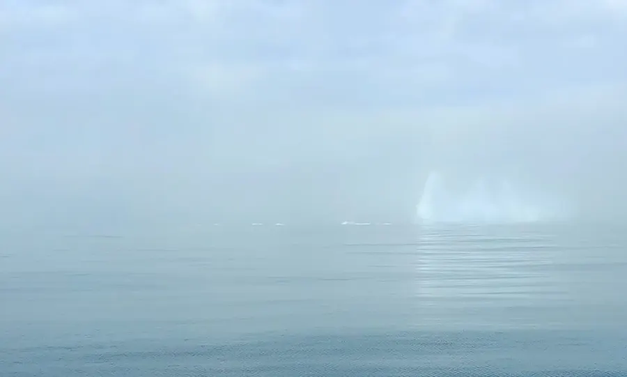 The Denmark Strait card