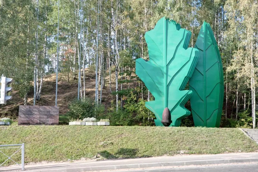 La carte Vsevolojsk