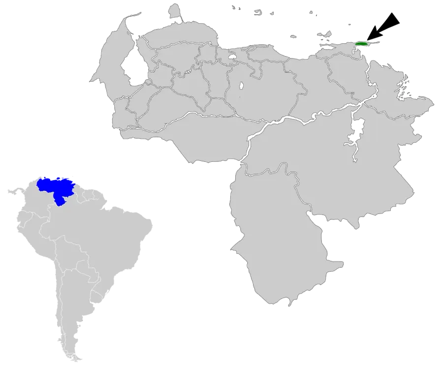 La carte Paruline de Paria