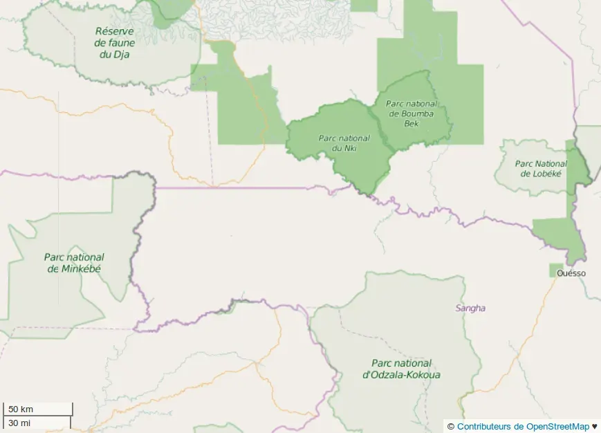 The Nki National Park card
