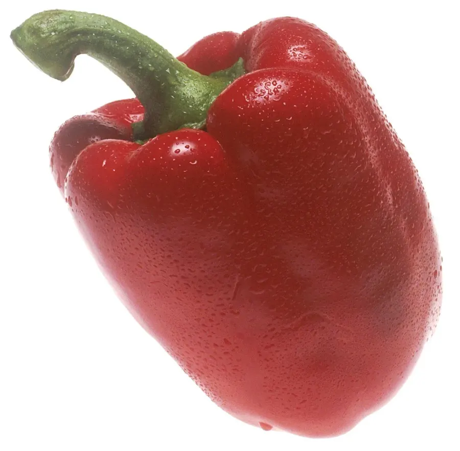 The Bell pepper card