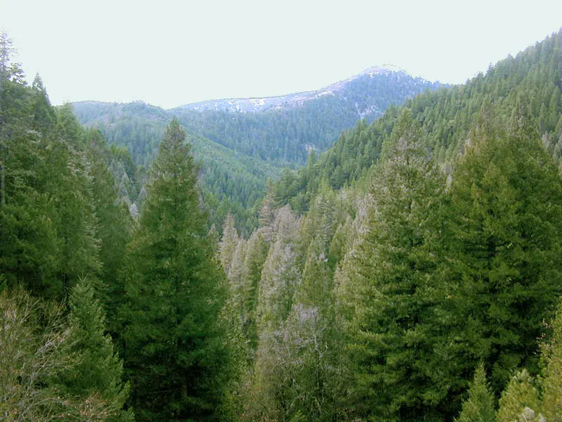 The Sierra County, California card