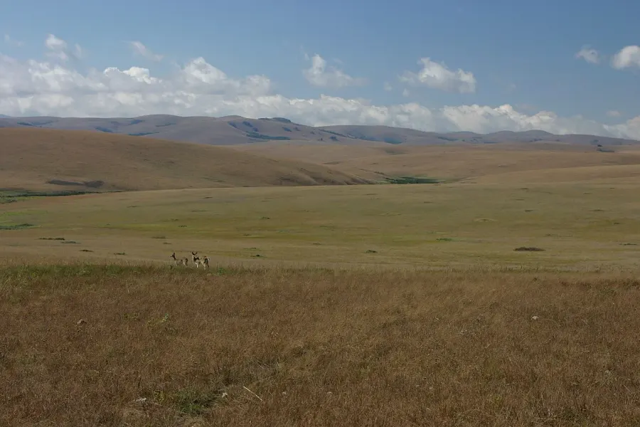 The Nyika National Park card