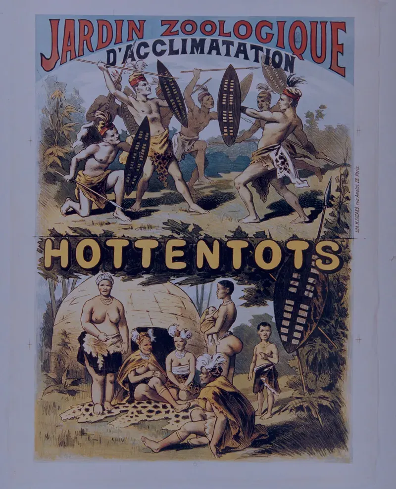 The Human zoo card