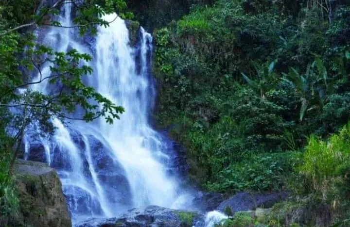 The Casabianca, Tolima card