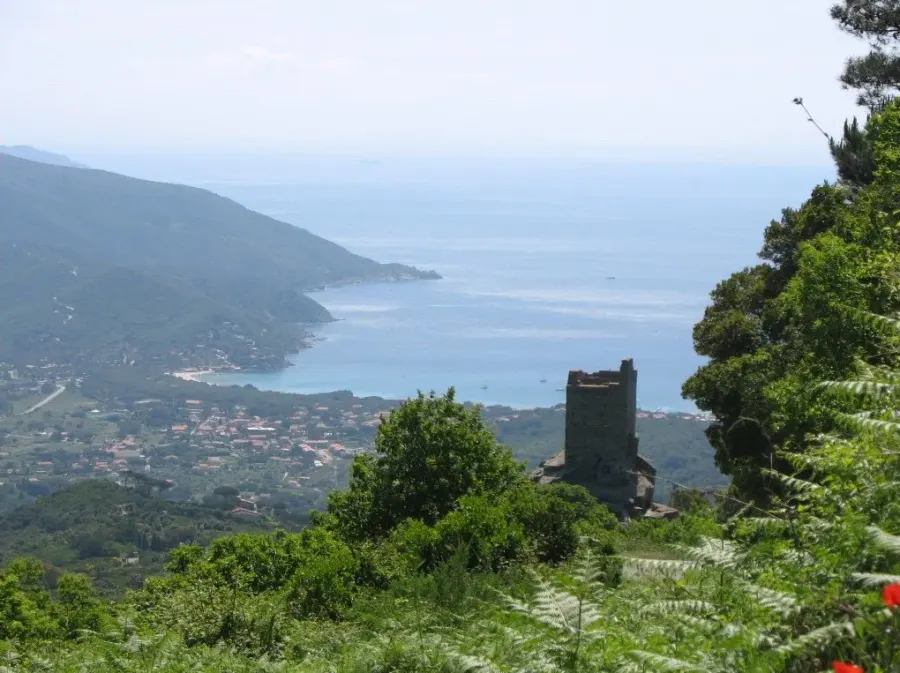 The Campo nell'Elba card