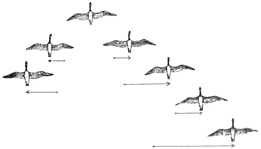 La carte Formation en V