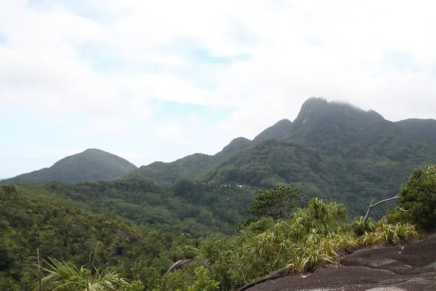 The Morne Seychellois card