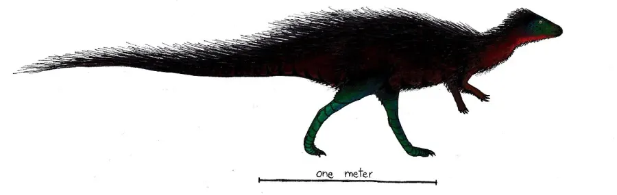 La carte Callovosaurus