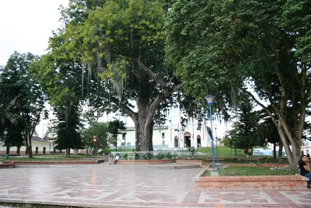 La carte Saladoblanco