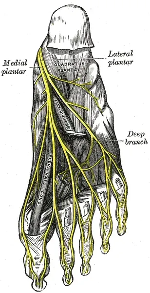 The Foot card
