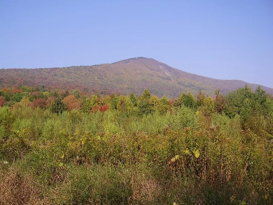The Mount Greylock card
